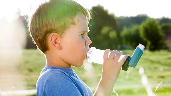 o4YBAGkv3_eAZzLbAABmTjX2vmo796