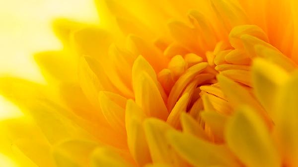 o4YBAGkv3x-AETUjAAA9btReZn4944 o4YBAGkv3x-AETUjAAA9btReZn4944