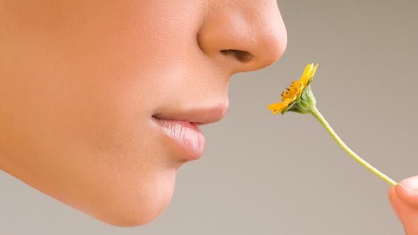 oYYBAGkv4IWAfHcaAAAy9m3oudg730-1