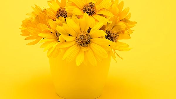 ooYBAGkv3x-AMp19AABLbGhHPPE351 ooYBAGkv3x-AMp19AABLbGhHPPE351