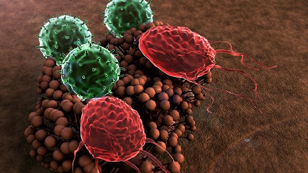 ooYBAGkv4X6ARTAMAADAJTiMRw0279